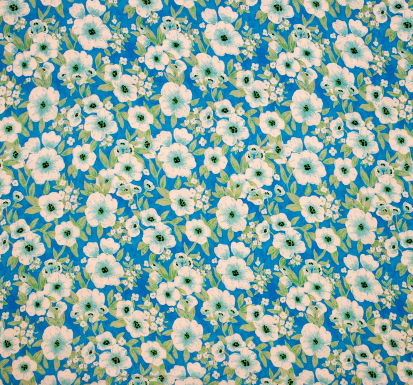 Blauwebloemen.jpg