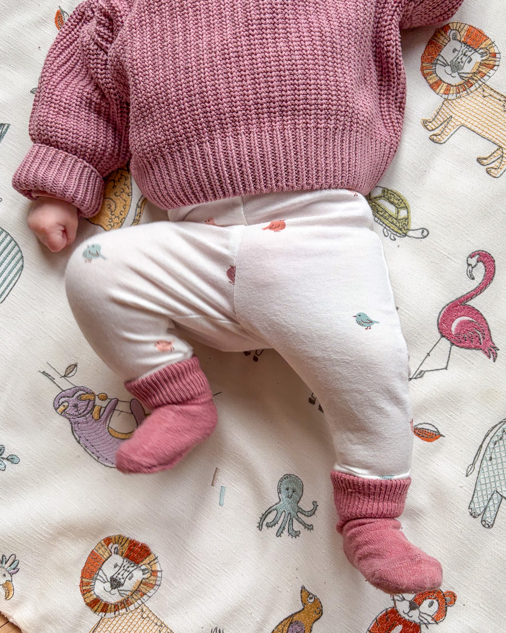 Newborn broekje | Vogels