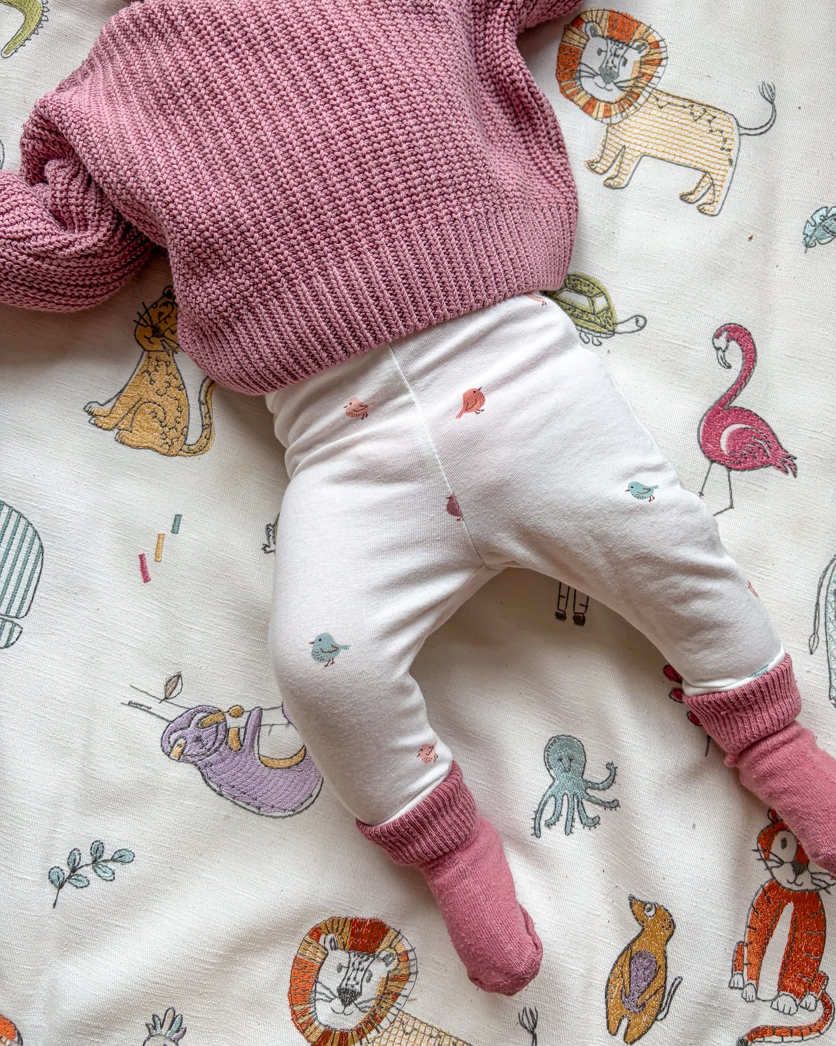 Newborn broekje | Vogels