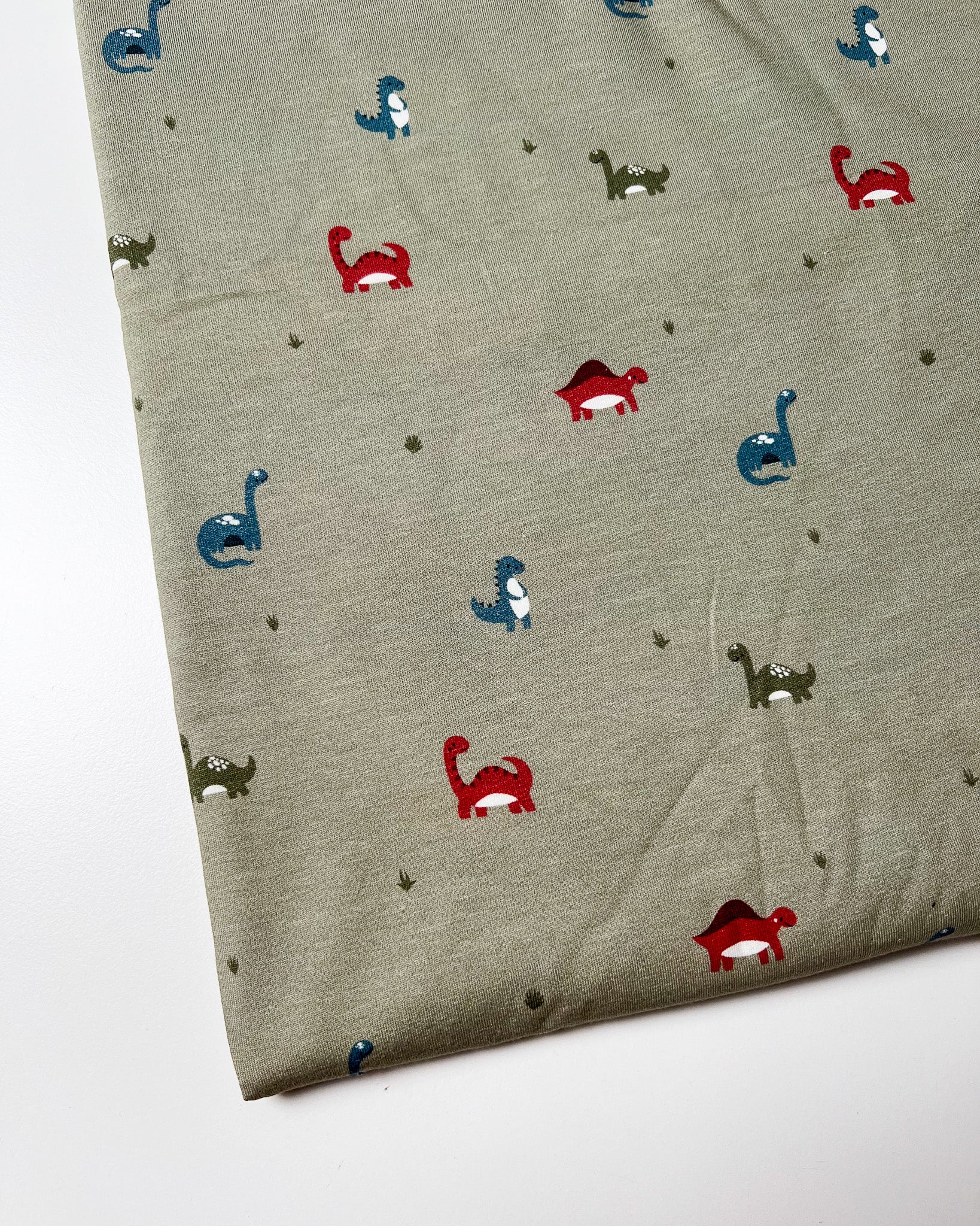 Newborn broekje Dino