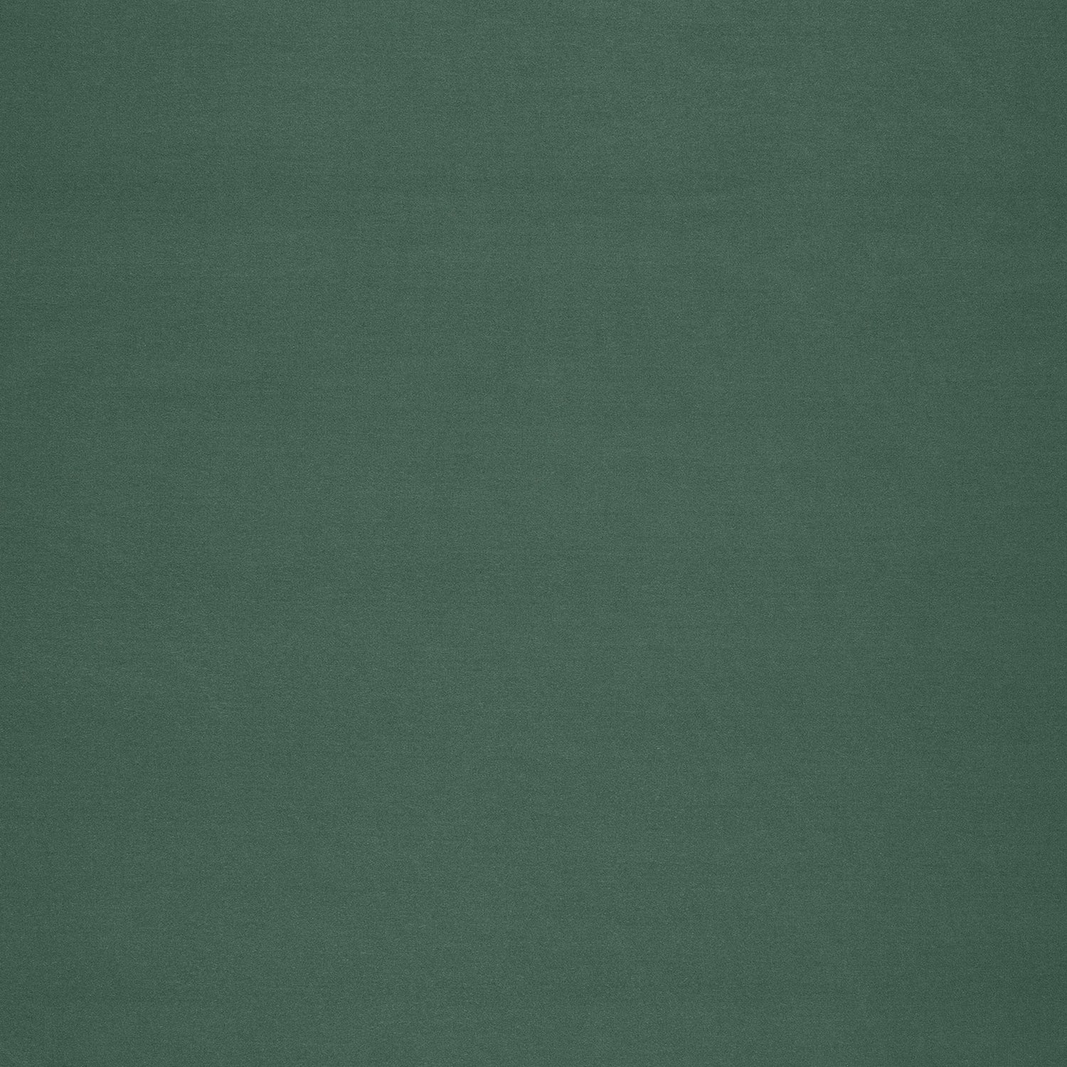 Lizz (oud mint) flared pull-on pantalon