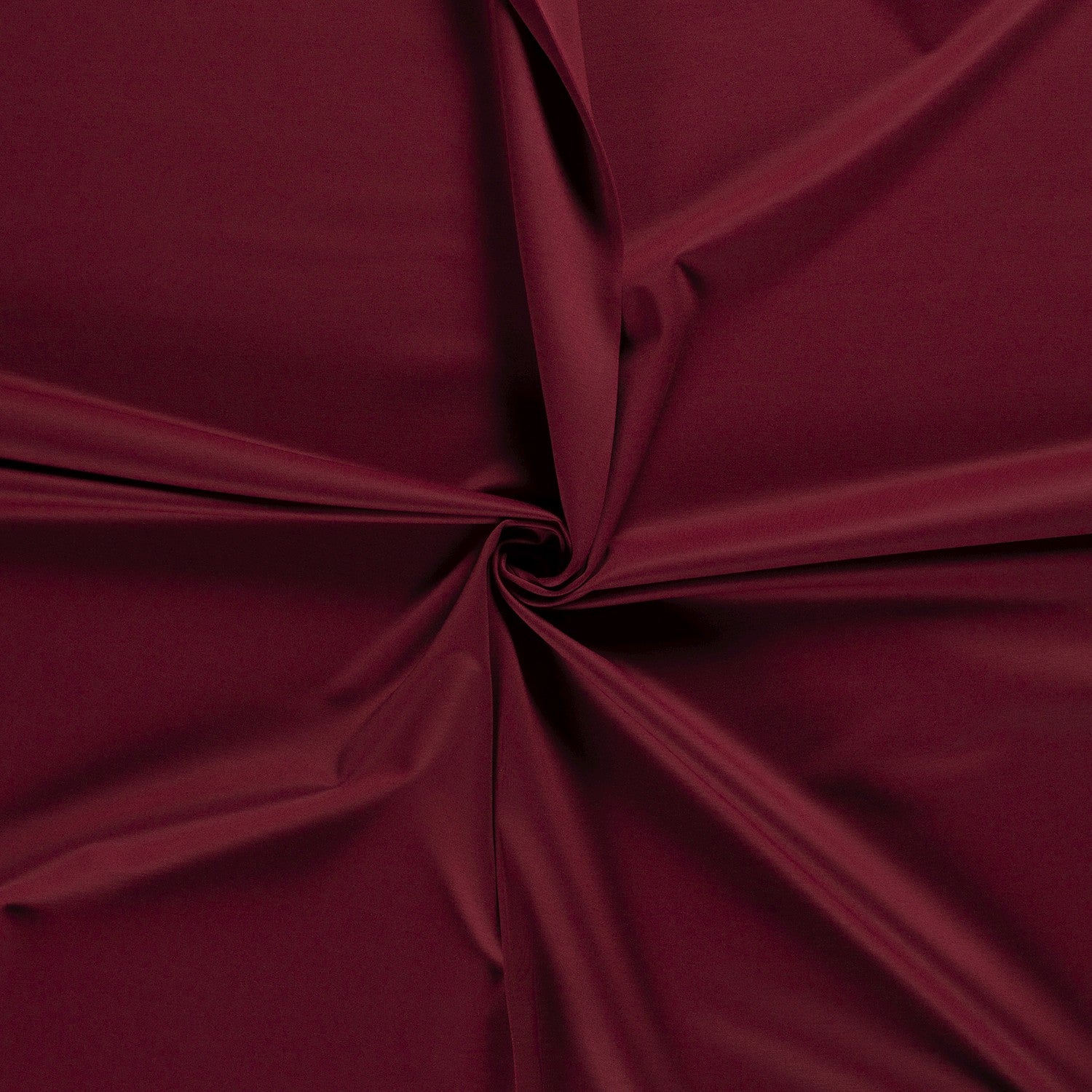 Lizz (bordeaux) flared pull-on pantalon